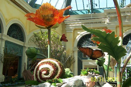 Bellagios vinterträdgård och botaniska trädgård